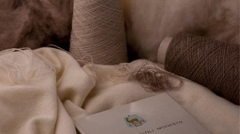beplay官网娱乐普拉达集团和埃麦尼吉尔多·杰尼亚集团共同收购多数股权的兴趣纱线制造商Filati比亚焦利莫德斯托。