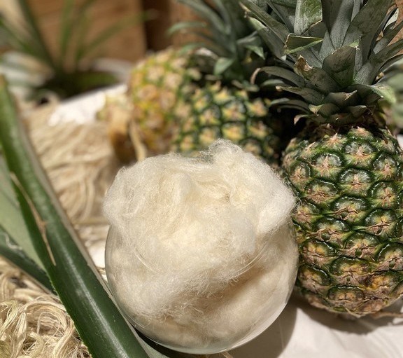 beplay官网娱乐看到这里,Nextevo产生可持续的纺织品(如Ready-to-Spin纤维)制成的菠萝叶浪费。