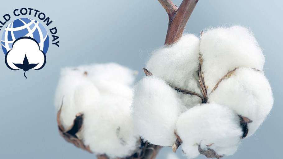 beplay官网娱乐国际棉花日解释了为什么棉花不仅仅是一种商品