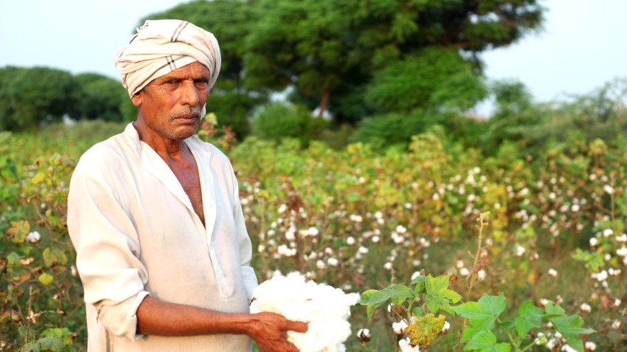 beplay官网娱乐CottonConnect是教学在整个印度次大陆,农民如何种植可持续的棉花。